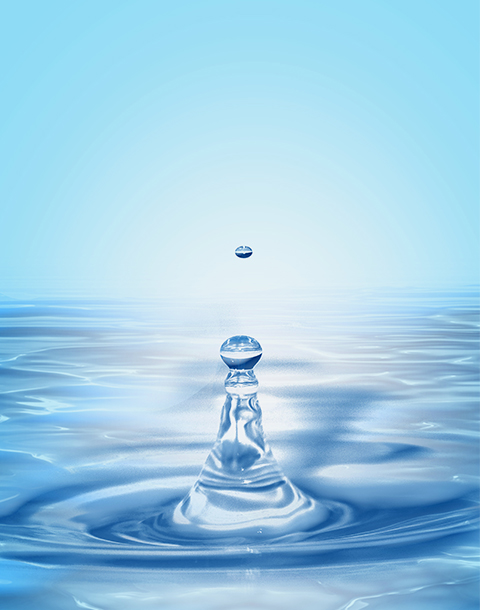 7026am威尼斯官网